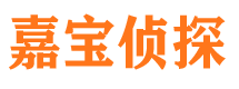 河源侦探公司